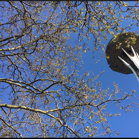 Meet your Posher, Jennifer - Picture 1 of 1